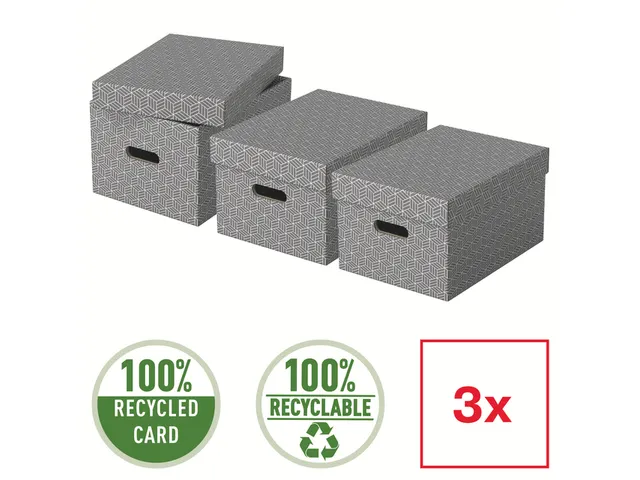 Boîte de rangement Esselte Home Medium 265x205x365mm gris 3pcs