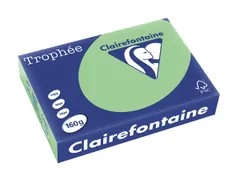 Trophée Pastel gekleurd papier A4 160 gram 250vel Natuurgroen