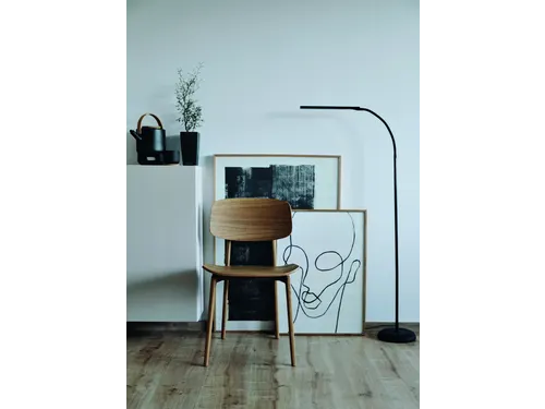 Vloerlamp MAUL Pirro LED dimbaar zwart