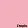 Offset papier Image Coloraction tropic/roze 160g 450x640mm FSC