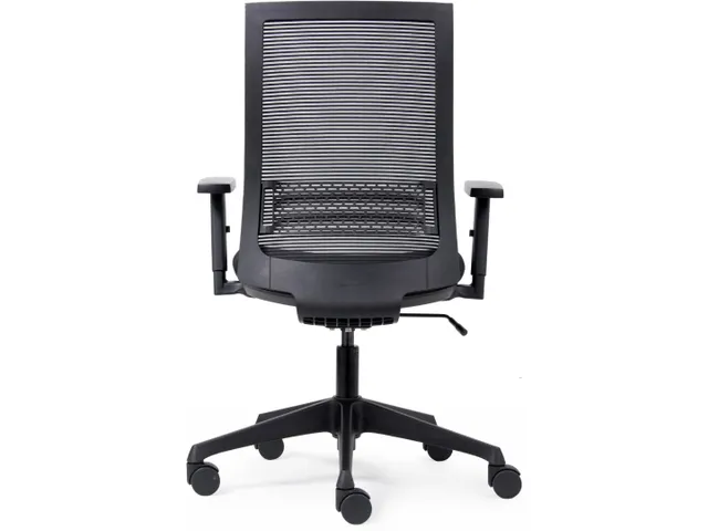 Bureaustoel Basic Ergo Net Zwart Lendensteun