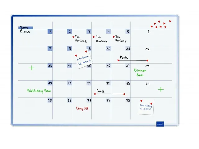 Accents Linear Maandplanner Cool 60x90 cm