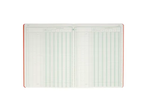 Piqure 32x25 Recette s-Depenses 80 bl