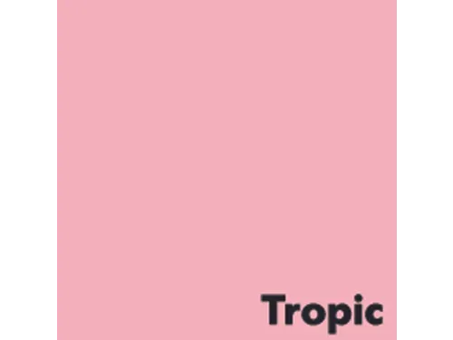 Offset papier Image Coloraction tropic/roze 160g 450x640mm FSC