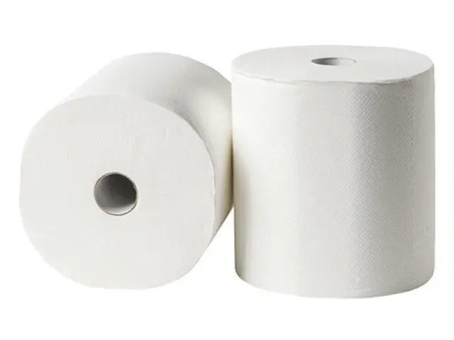 Handdoekrol Matic cellulose 2-laags Wit Motion FSC Pallet 44x6 Rol