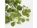 Kunstplant Mica Scindapsus hangend groen 45x25cm