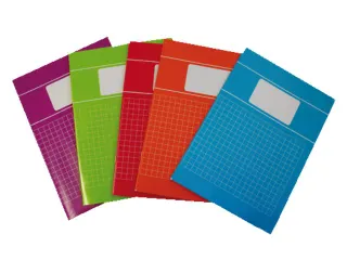 Schrift Verhaaktrend A4 80Blz Ruit 10Mm Assorti - 2