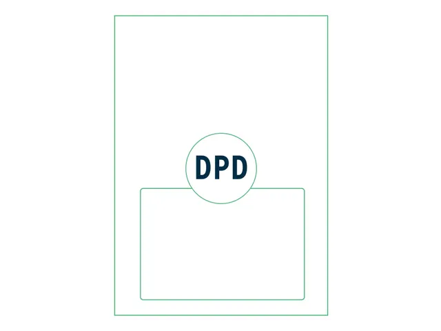 Retourlabel DPD label A4 161.5x100mm 100 Vel