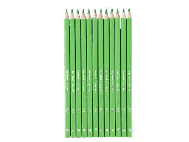 Kleurpotlood Bruynzeel Super 960 lichtgroen
