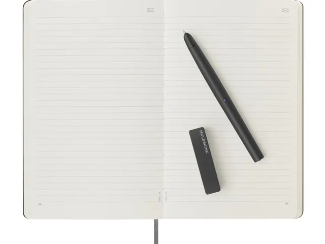 Smart Writing Moleskine set Pen + Smart Notebook large 130x210mm lign