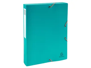 Klasseerdoos rug 40m m PP Forever Young - 17