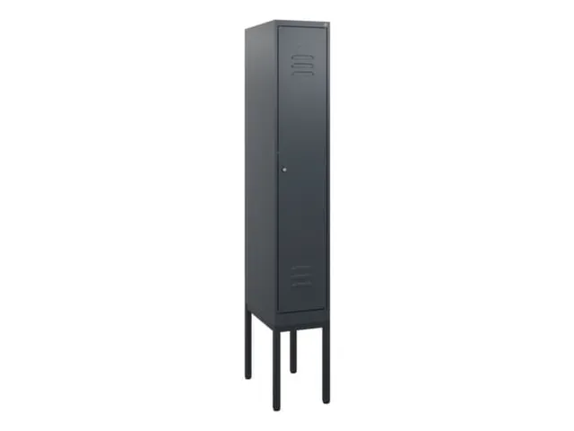 locker,HxBxD 1950x300x500mm,1vak,vak B 300mm,cil.-slot,voetonderstel