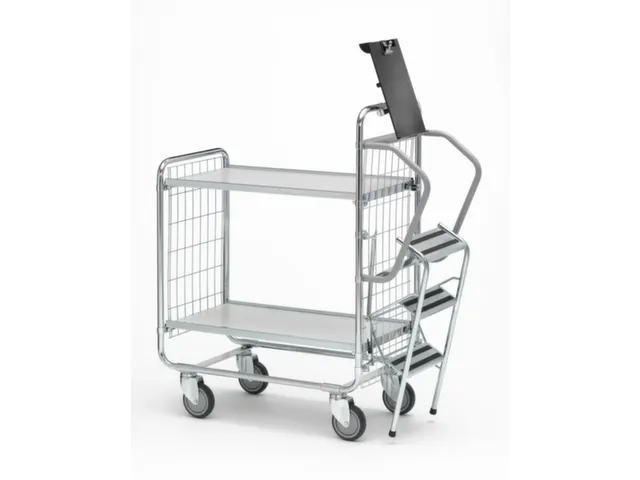 Ladderwagen Draagvermogen 200kg 2 Etages 000x 425mm 3 Treden