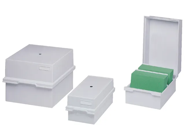 Boîte à Fichier Multiform A5 Long Plastique Gris