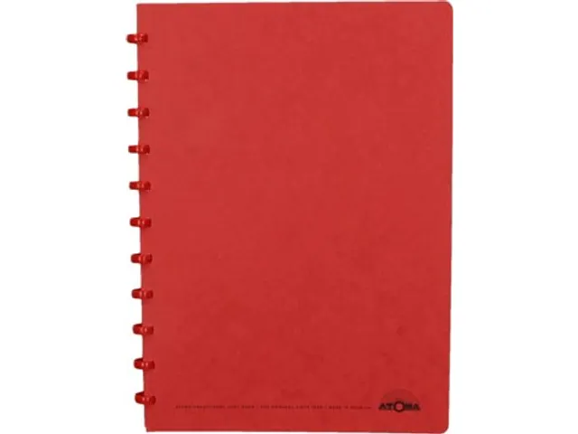 schrift, ft A4, 144 bladzijden, geruit 5 mm, rood