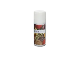 Luchtverfrisser Aerosol Spiced Up 490762 - 1