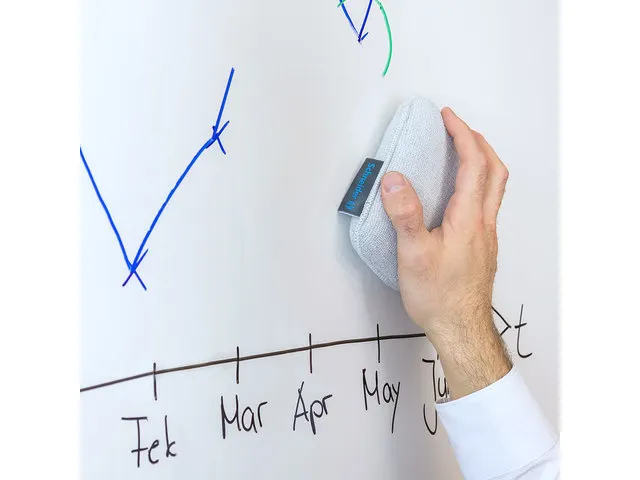 Whiteboardwisser (spons) Schneider 296 lichtgrijs