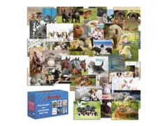 Beloningskaarten De Stulp dierenmix