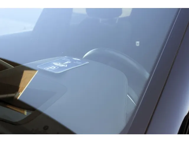 Disque de stationnement Kangaro E-car avec côté bleu et vert