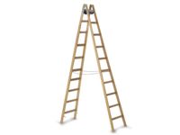 Ladder Met Sporten Hout L 2 93M 2X10Sporten