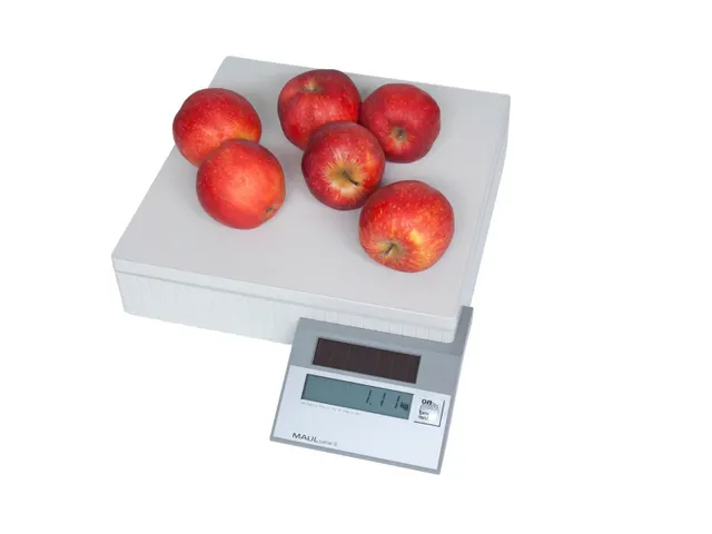 Pakketweger MAULparcel S solar 50kg