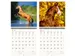 Kalender 2027 Helma 365 30x30cm paarden