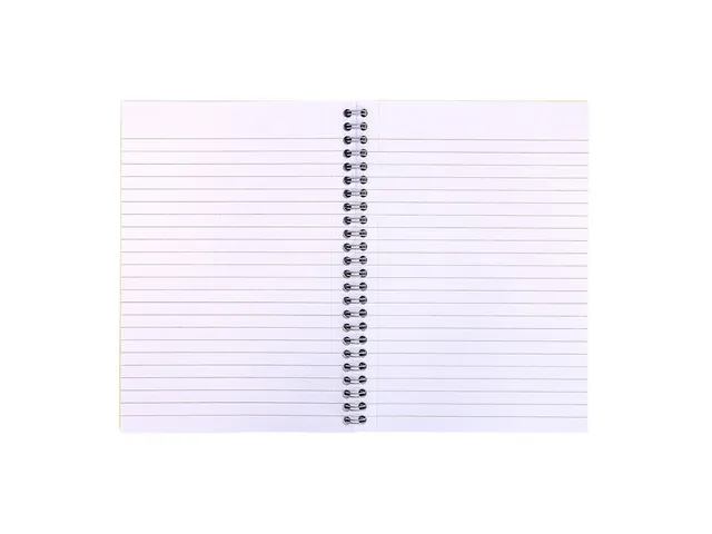 ##*Notitieboek Pukka Pad recyclijn A5 groen
