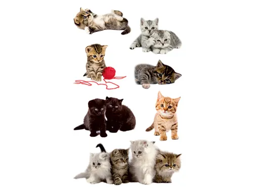 papieretiket Z-design Kids pakje a 3 vel katten foto