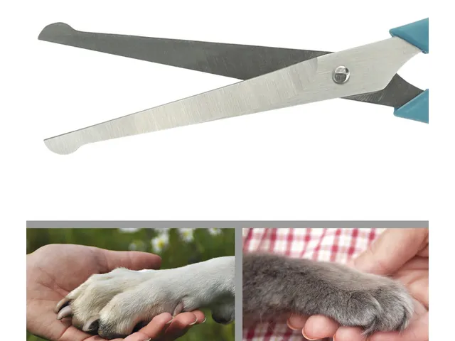 Ciseaux pour animaux Pets Aid Only pointes arrondies 15 et 18 cm