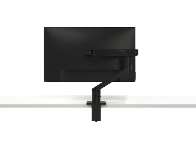 19 - 38 inch, 2.2 - 10 kg, VESA 100 x 100