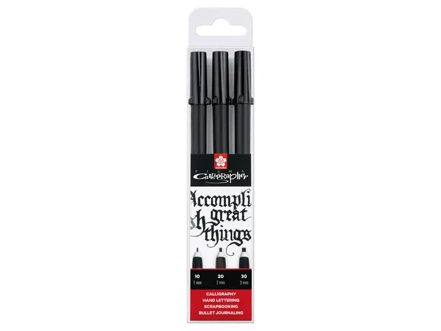 Set calligraphie Sakura Pigma 3 largeurs noir
