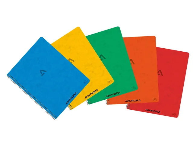 Schrift Aurora 210x165mm lijn 120 pagina's 80gr assorti
