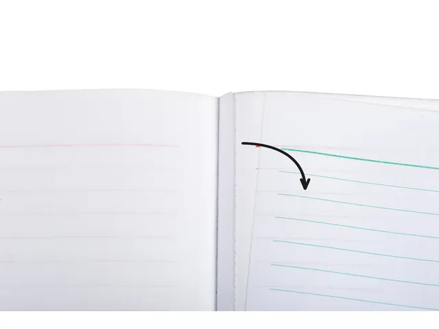 Kasboek Exacompta Manifold ontvangsten dupli 50vel NL