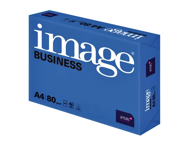 Kopieerpapier Image Business A4 80 gram wit 500 vel