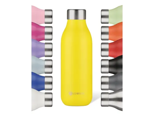 Thermosfles 2.0 Les Artistes Paris 500ml Rio