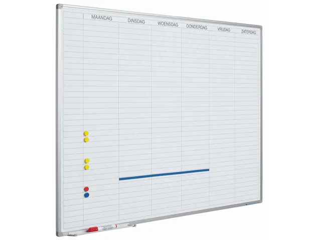 Planbord 60x90cm Softline profiel 8mm Werkdagen NL incl. dagenstrook