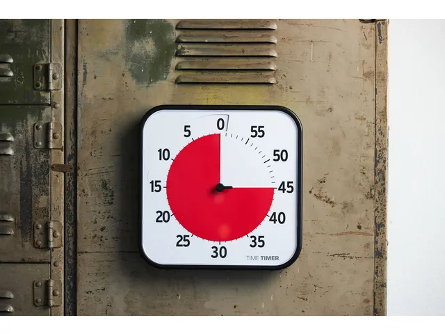 Time Timer Original large zwart