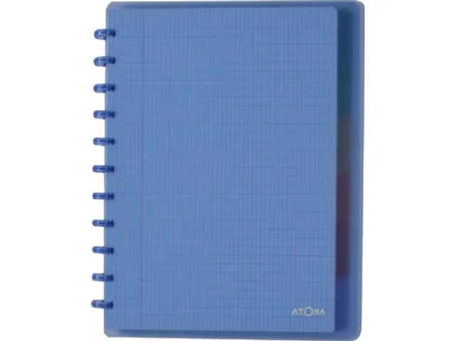 Trendy schrift A4+ 120 blad commercieel geruit assorti