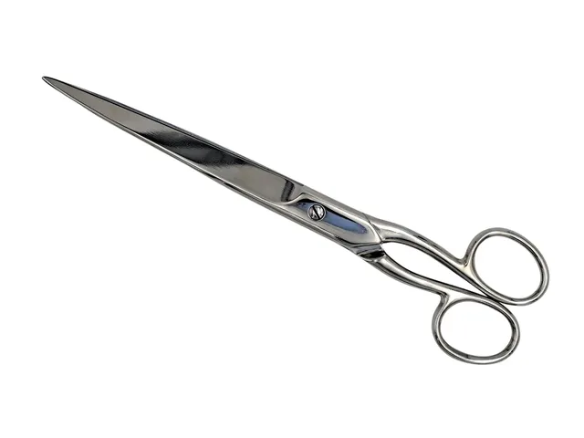 Schaar 250mm roestvrijstaal rechtshandig