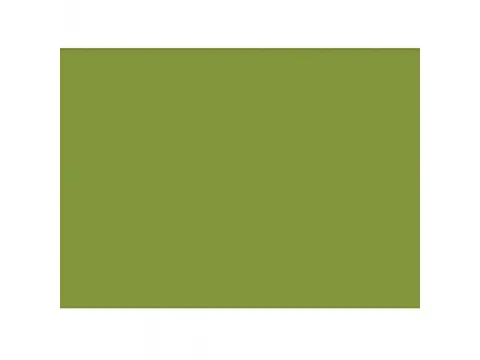 Duni Placemats 30x40cm Papier Leaf Green 4x250 stuks