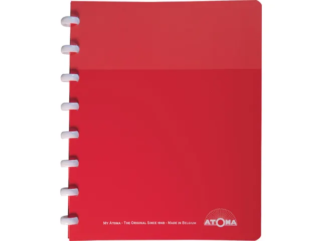 Schrift My Creative Atoma A5 Assorti Ruit 10cm