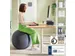 Leitz Ergo Actieve Zitbal anti-rol 75cm Donkergrijs