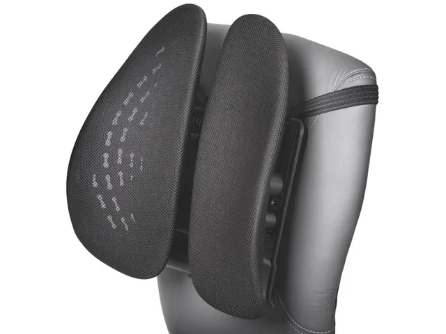 SmartFit rugsteun, zwart