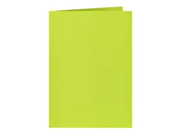 Correspondentiekaart Papicolor dubbel 105x148mm appelgroen pak à 6 st