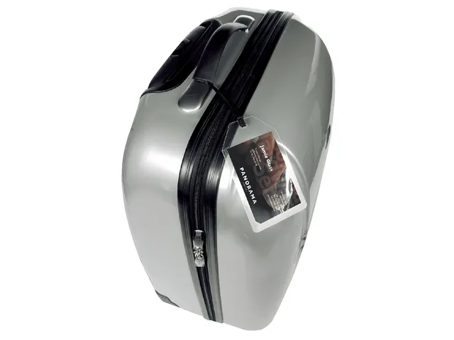 3L Bagage Label Zelf-laminerend 11120 72x123mm 10 Stuks