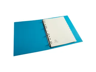 Tabbladen karton 155 g jan-dec ivoor - 8