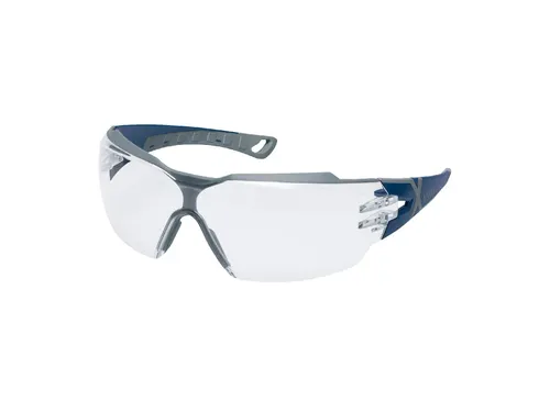 Uvex Pheos Cx2 9198-257 Veiligheidsbril