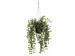 Kunstplant Mica Ficus hangend in pot groen 20x46cm