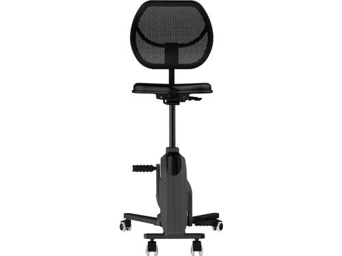 Bureaufiets Ross