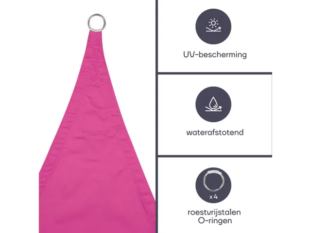 Zonnezeil Rechthoek 2x3m Fuschia